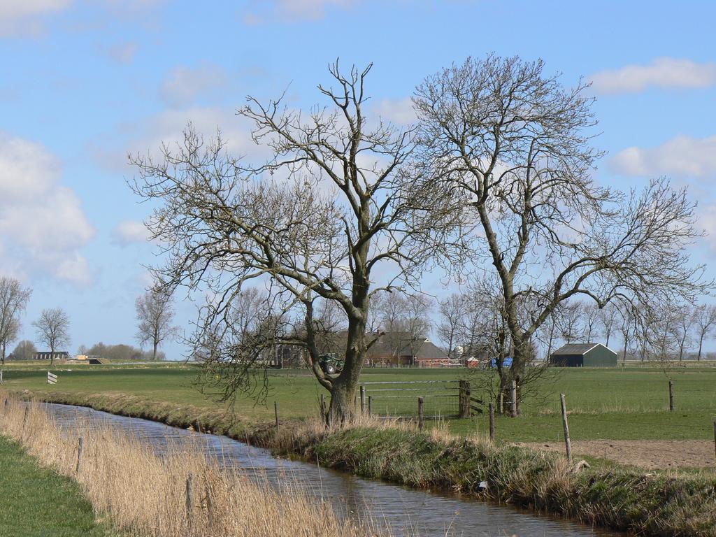 Groningen Buiten B&B Zuidhorn Luaran gambar
