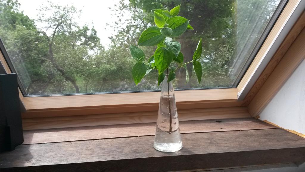 Groningen Buiten B&B Zuidhorn Luaran gambar