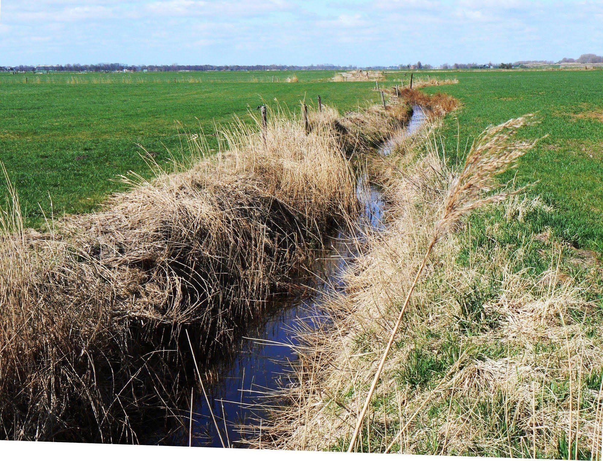 Groningen Buiten B&B Zuidhorn Luaran gambar