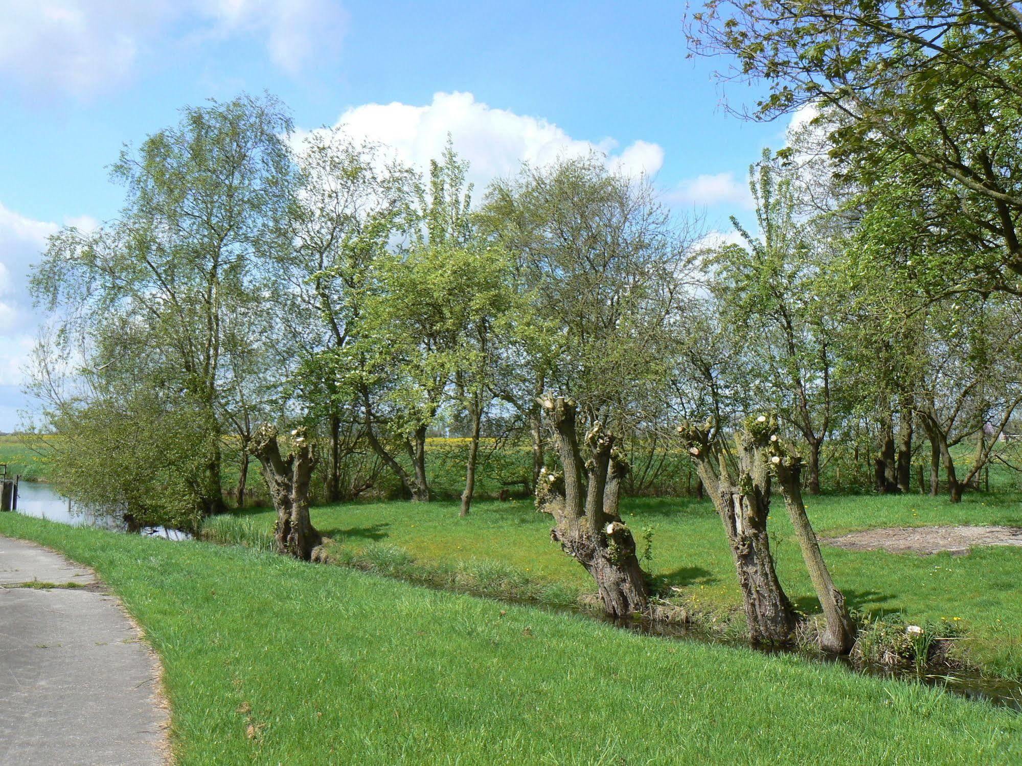 Groningen Buiten B&B Zuidhorn Luaran gambar